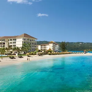 https://secrets-wild-orchid.comcaribbean.com