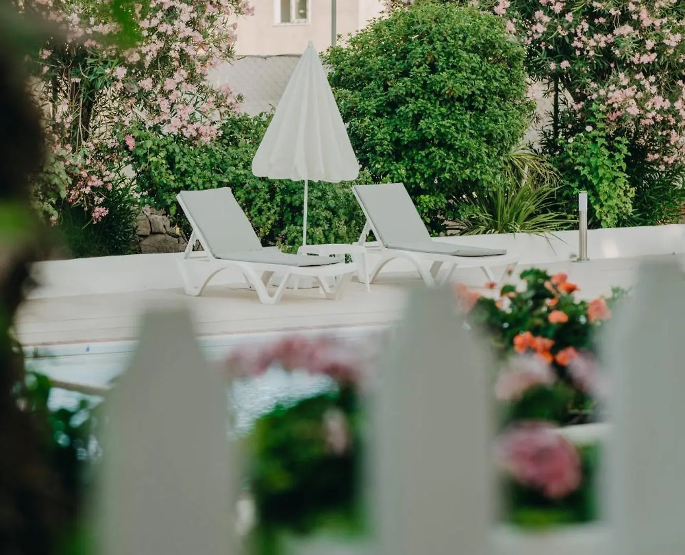 Hotel Dilek Agaci Butik Otel - Karaburun