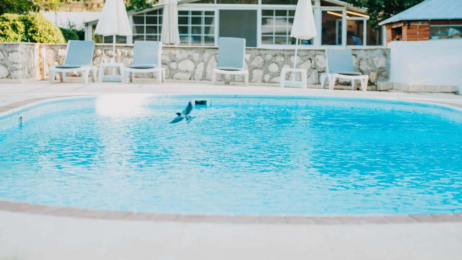 Hotel Dilek Agaci Butik Otel - Karaburun