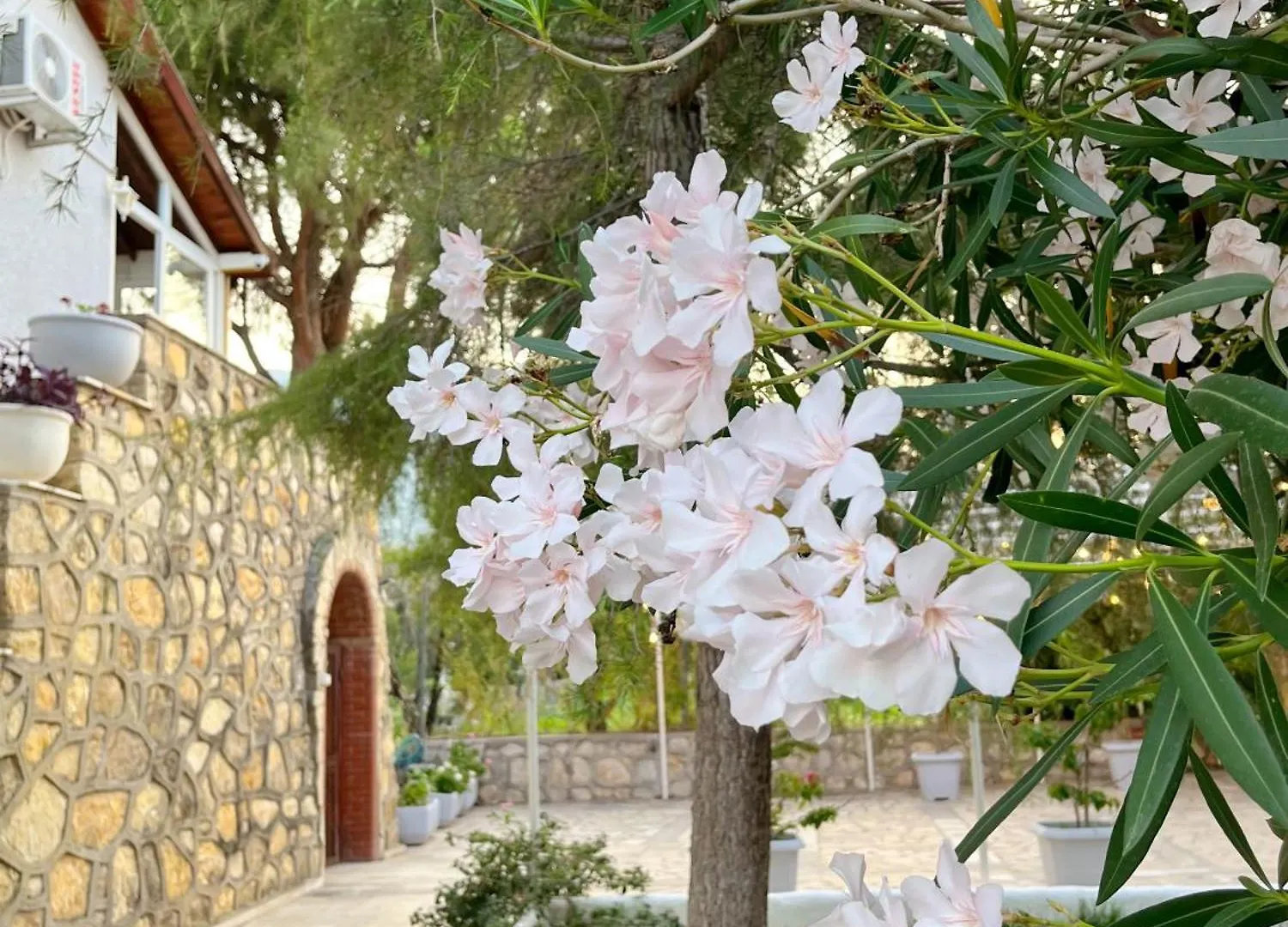 Dilek Agaci Butik Otel - Karaburun Karaburun (Izmir)