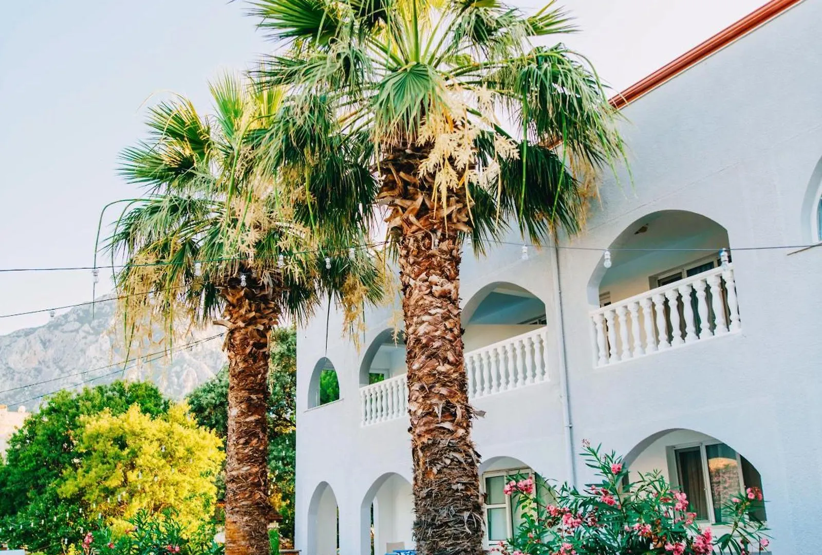Dilek Agaci Butik Otel - Karaburun Hotel Karaburun (Izmir)