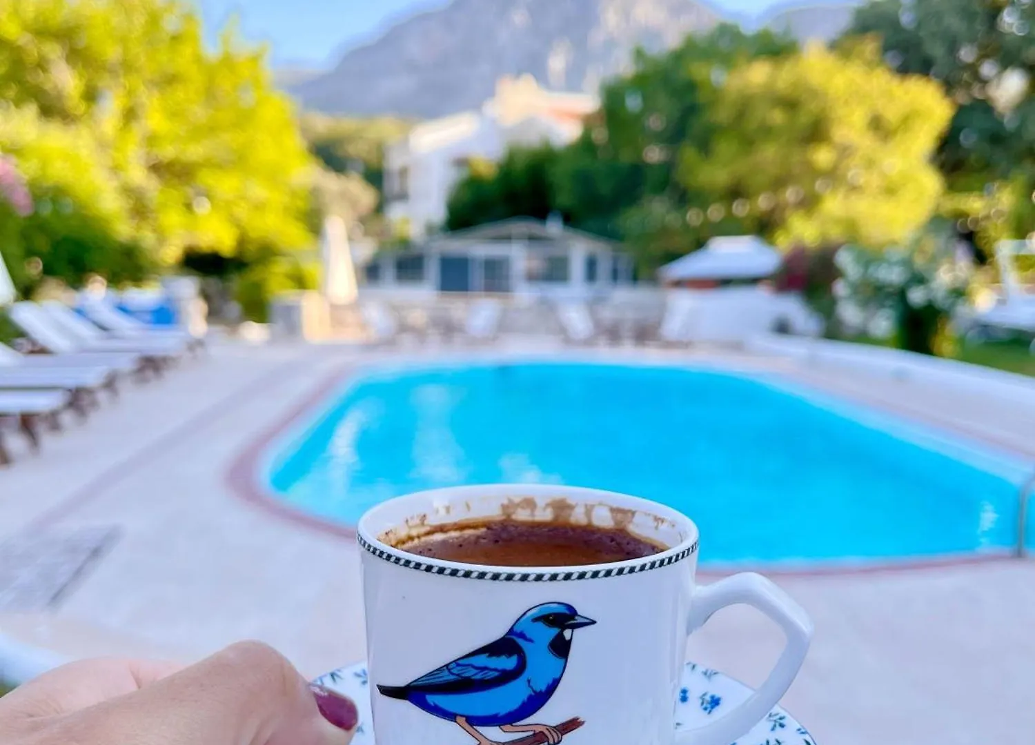 Dilek Agaci Butik Otel - Karaburun